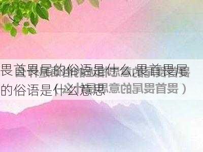 畏首畏尾的俗语是什么,畏首畏尾的俗语是什么意思