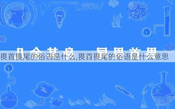 畏首畏尾的俗语是什么,畏首畏尾的俗语是什么意思