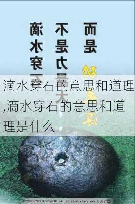 滴水穿石的意思和道理,滴水穿石的意思和道理是什么