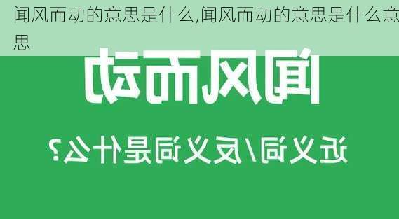 闻风而动的意思是什么,闻风而动的意思是什么意思