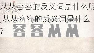 从从容容的反义词是什么呢,从从容容的反义词是什么?