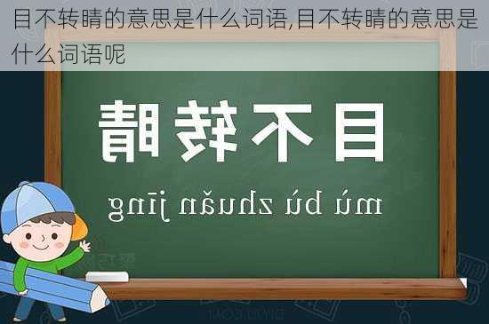 目不转睛的意思是什么词语,目不转睛的意思是什么词语呢