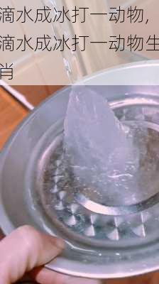 滴水成冰打一动物,滴水成冰打一动物生肖