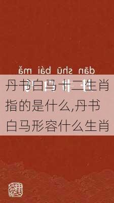 丹书白马十二生肖指的是什么,丹书白马形容什么生肖