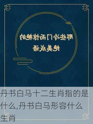 丹书白马十二生肖指的是什么,丹书白马形容什么生肖