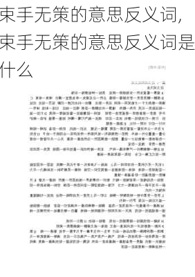 束手无策的意思反义词,束手无策的意思反义词是什么