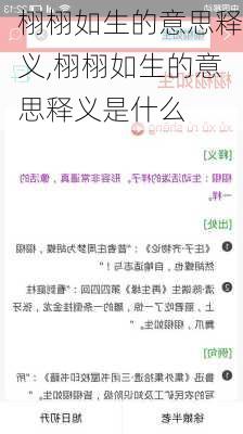 栩栩如生的意思释义,栩栩如生的意思释义是什么