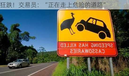 狂跌！交易员：“正在走上危险的道路”