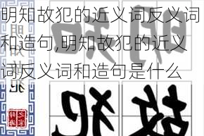 明知故犯的近义词反义词和造句,明知故犯的近义词反义词和造句是什么