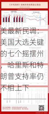 美最新民调：美国大选关键的七个摇摆州，哈里斯和特朗普支持率仍不相上下