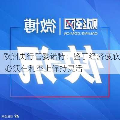 欧洲央行管委诺特：鉴于经济疲软 必须在利率上保持灵活