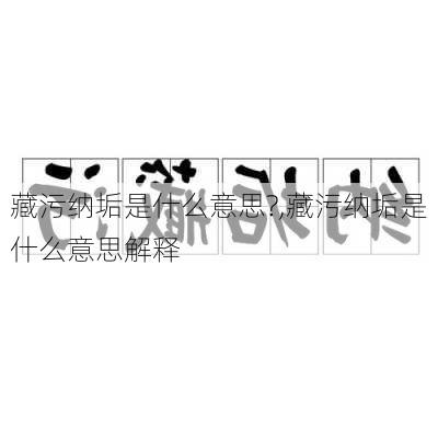 藏污纳垢是什么意思?,藏污纳垢是什么意思解释