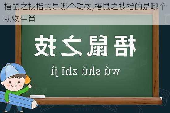 梧鼠之技指的是哪个动物,梧鼠之技指的是哪个动物生肖