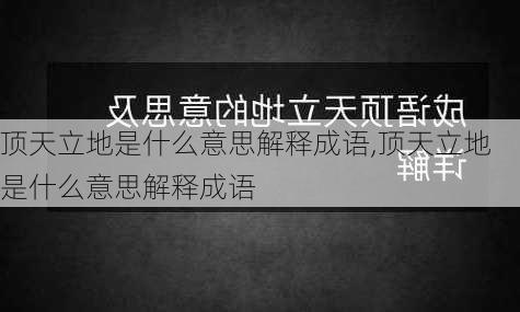 顶天立地是什么意思解释成语,顶天立地是什么意思解释成语