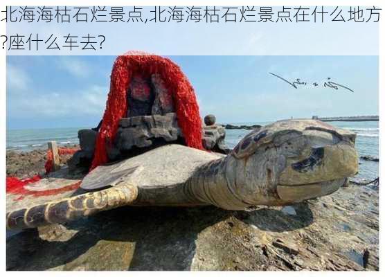 北海海枯石烂景点,北海海枯石烂景点在什么地方?座什么车去?