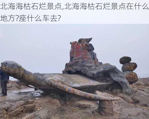 北海海枯石烂景点,北海海枯石烂景点在什么地方?座什么车去?