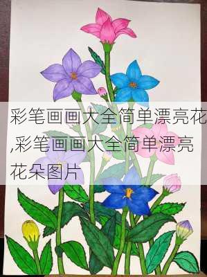 彩笔画画大全简单漂亮花,彩笔画画大全简单漂亮花朵图片