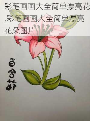 彩笔画画大全简单漂亮花,彩笔画画大全简单漂亮花朵图片