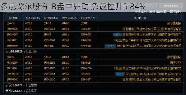 多尼戈尔股份-B盘中异动 急速拉升5.84%