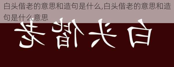 白头偕老的意思和造句是什么,白头偕老的意思和造句是什么意思