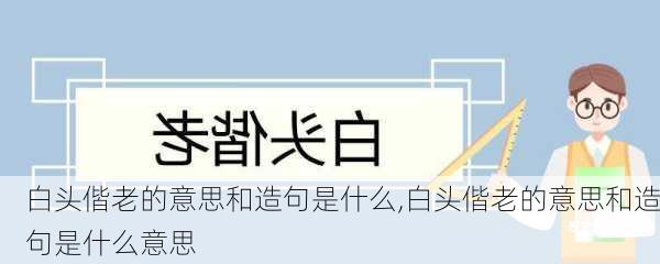 白头偕老的意思和造句是什么,白头偕老的意思和造句是什么意思