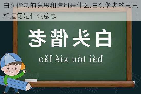 白头偕老的意思和造句是什么,白头偕老的意思和造句是什么意思