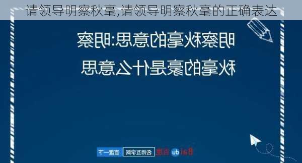 请领导明察秋毫,请领导明察秋毫的正确表达