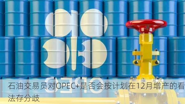 石油交易员对OPEC+是否会按计划在12月增产的看法存分歧