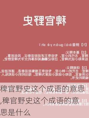 稗官野史这个成语的意思,稗官野史这个成语的意思是什么