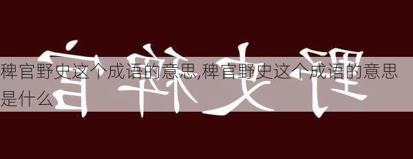 稗官野史这个成语的意思,稗官野史这个成语的意思是什么