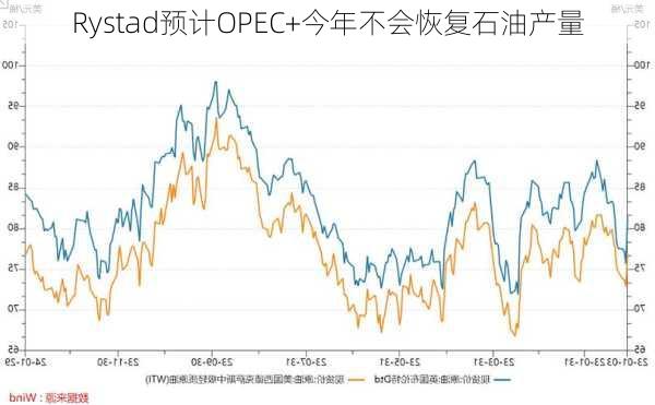 Rystad预计OPEC+今年不会恢复石油产量