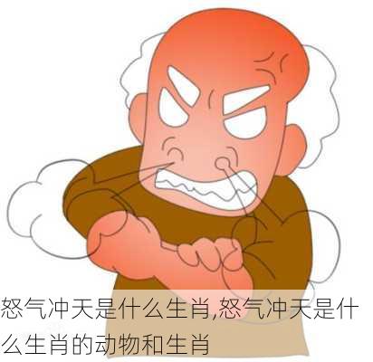 怒气冲天是什么生肖,怒气冲天是什么生肖的动物和生肖