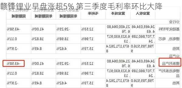 赣锋锂业早盘涨超5% 第三季度毛利率环比大降