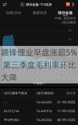 赣锋锂业早盘涨超5% 第三季度毛利率环比大降