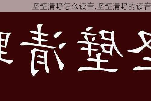 坚壁清野怎么读音,坚壁清野的读音