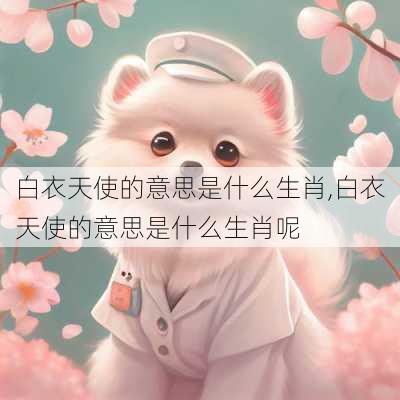 白衣天使的意思是什么生肖,白衣天使的意思是什么生肖呢