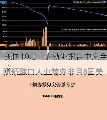 美国10月非农就业报告中文全文