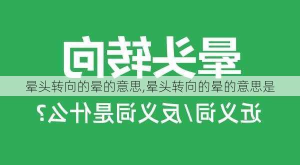 晕头转向的晕的意思,晕头转向的晕的意思是