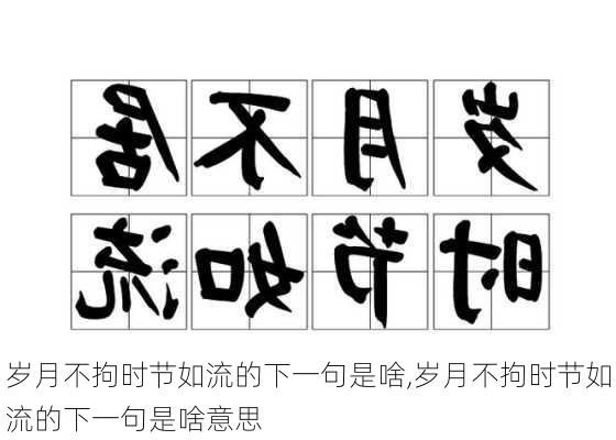 岁月不拘时节如流的下一句是啥,岁月不拘时节如流的下一句是啥意思