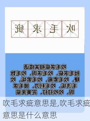 吹毛求疵意思是,吹毛求疵意思是什么意思