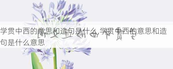 学贯中西的意思和造句是什么,学贯中西的意思和造句是什么意思