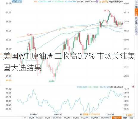 美国WTI原油周二收高0.7% 市场关注美国大选结果