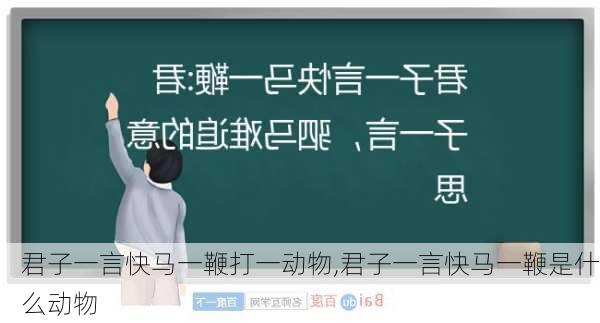 君子一言快马一鞭打一动物,君子一言快马一鞭是什么动物