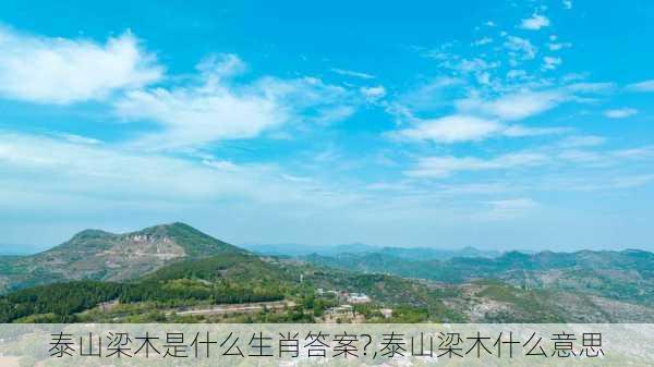 泰山梁木是什么生肖答案?,泰山梁木什么意思