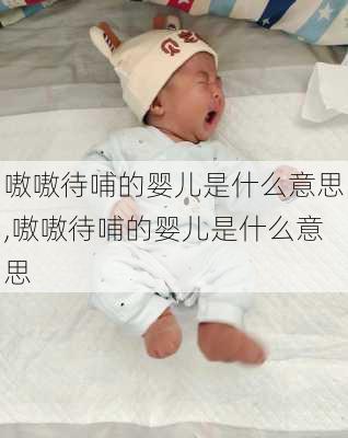 嗷嗷待哺的婴儿是什么意思,嗷嗷待哺的婴儿是什么意思