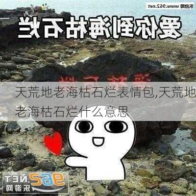 天荒地老海枯石烂表情包,天荒地老海枯石烂什么意思