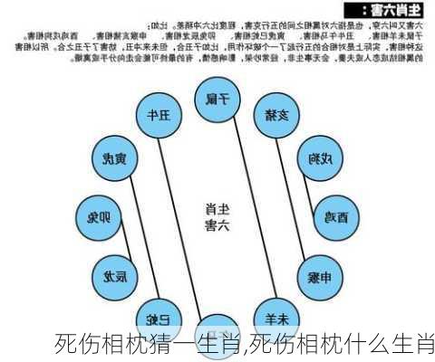 死伤相枕猜一生肖,死伤相枕什么生肖