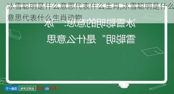 冰雪聪明是什么意思代表什么生肖,冰雪聪明是什么意思代表什么生肖动物