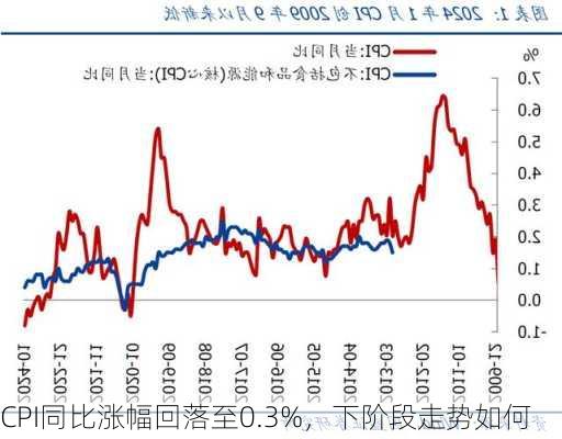 CPI同比涨幅回落至0.3%，下阶段走势如何