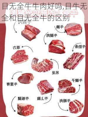 目无全牛牛肉好吗,目牛无全和目无全牛的区别